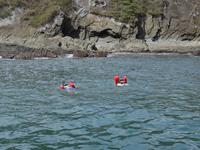 Um die Wette Schnorcheln