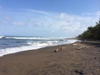 Strand von Tortuguero