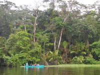 032 Costa Rica - Tortuguero - Bootsfahrt