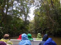 039 Costa Rica - Tortuguero - Bootsfahrt