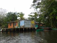 046 Costa Rica - Tortuguero