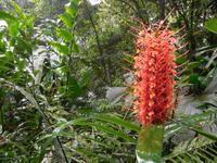 060 Costa Rica - Danaus Eco Center
