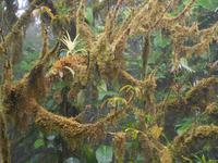 078 Costa Rica - Santa Elena Resort