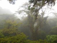 080 Costa Rica - Santa Elena Resort