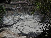 090 Costa Rica - Rincon de la Vieja