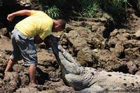 095 Costa Rica - Kuss am Krokodilfluss