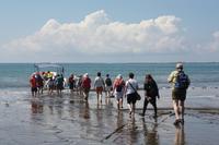 103 Costa Rica - Marina Ballena NP