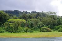 Arenalsee