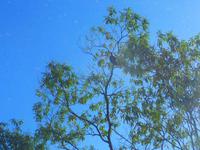 Bio Finca