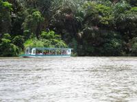 Bootsfahrt nach Tortuguero
