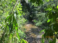 Carara-Nationalpark