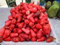 Cartago
