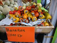 Cashew-Früchte