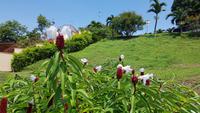 Costa Rica, Caldera Gleitschirm Absprungplatz, 