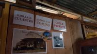 Costa Rica, Käserei am Fusse des Turrialba