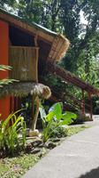 Costa Rica, Karibikküste, Hotel Cariblue