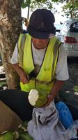 Costa Rica, Karibikküste, Kokosnussverkäufer