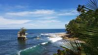 Costa Rica, Karibikküste, NP Gandoca Manzanillo