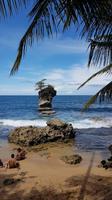 Costa Rica, Karibikküste, NP Gandoca Manzanillo