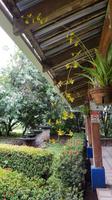 Costa Rica, Mittagspause im Cafe Macadonia