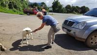 Costa Rica, Mittagspause unterwegs