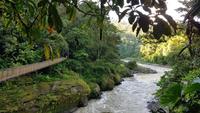 Costa Rica, Rafting Pacuare, Hängebrücke nahe der Lodge
