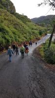 Costa Rica, Savegretal, Morgenwanderung zur Quetzal Beobachtung