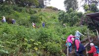 Costa Rica, Savegretal, Morgenwanderung zur Quetzal Beobachtung