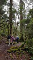 Costa Rica, Savegretal, Savegre Lodge, Wanderung