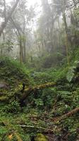 Costa Rica, Savegretal, Savegre Lodge, Wanderung
