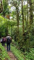 Costa Rica, Savegretal, Savegre Lodge, Wanderung