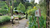 Costa Rica, Savegretal, Savegre Lodge