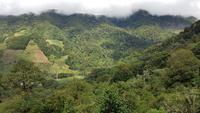 Costa Rica, Savegretal