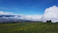Costa Rica, Turrialba, Fahrt zum Irazu NP