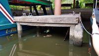 Costa Rica, Turtle Beach Lodge, Abreise mit dem Boot, Hauskaiman sagt tschüss