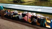Costa Rica, Turtle Beach Lodge, Abreise mit dem Boot