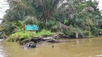 Costa Rica, Turtle Beach Lodge, Abreise mit dem Boot