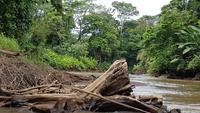 Costa Rica, Turtle Beach Lodge, Abreise mit dem Boot