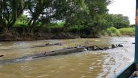 Costa Rica, Turtle Beach Lodge, Abreise mit dem Boot