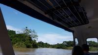 Costa Rica, Turtle Beach Lodge, Anreise mit dem Boot