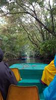 Costa Rica, Turtle Beach Lodge, morgentliche Tierbeobachtung
