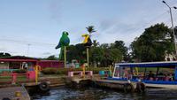 Costa Rica, Turtle Beach Lodge, nachmittägliche Tierbeobachtung, Totuguero