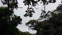 Costa Rica, Wanderung im Selvatura Park mit Canopy Seil