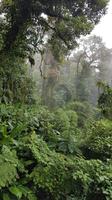 Costa Rica, Wanderung im Selvatura Park