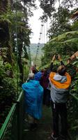 Costa Rica, Wanderung im Selvatura Park