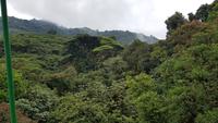 Costa Rica, Wanderung im Selvatura Park