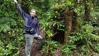 Costa Rica, Wanderung im Selvatura Park