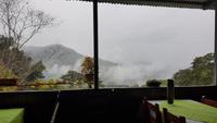 Costa Rica, beim Kaffee Bauern, 