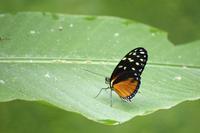Danaus Eco Center