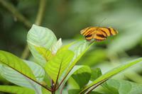 Danaus Eco Center